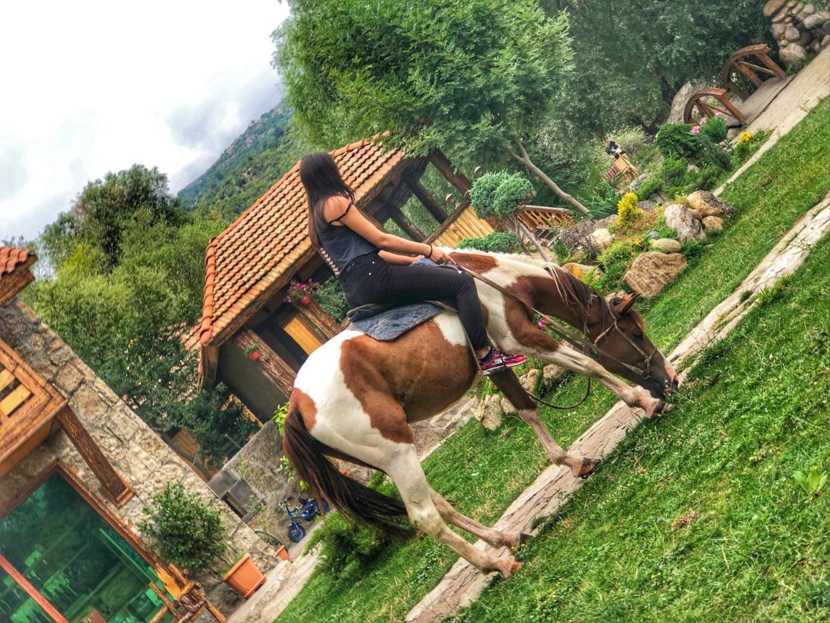 Getahovit Resort Ijevan Eksteriør bilde